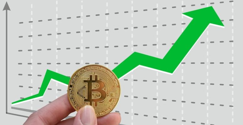 עליית הביטקוין לאחר הבחירות בארה"בת מביאה אנשים לחיפוש אחר ארנקים לשמירת מטבעות קריפטו - צילום: BigStock